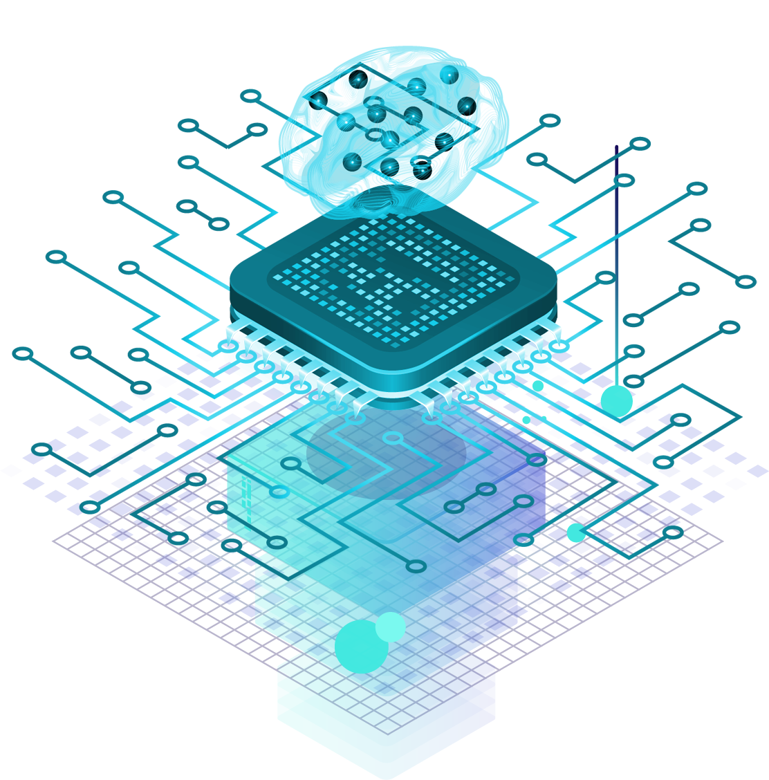 brain